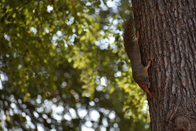 足球比赛中 足球比赛中