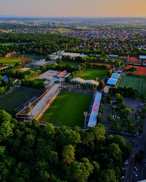 在球場上分 在球場上分