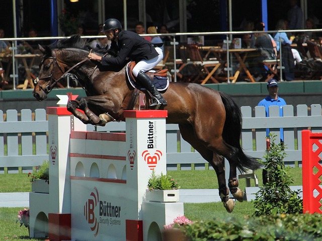 适时调整 适时调整