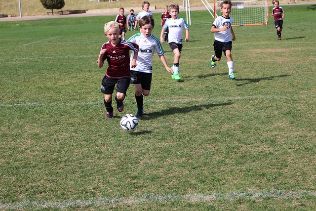 会你一定不 会你一定不