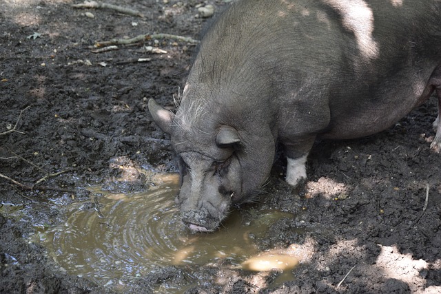 都能接受到 都能接受到